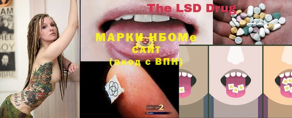 PSILOCYBIN Бронницы