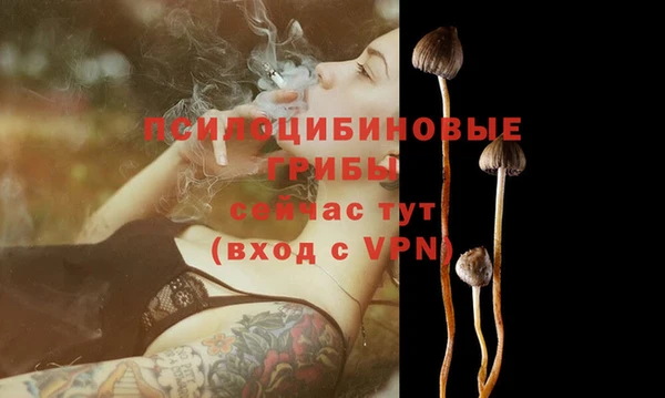 метадон Бородино