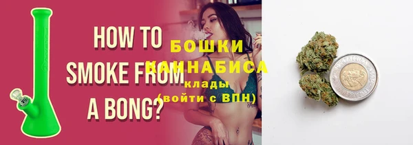 PSILOCYBIN Бронницы