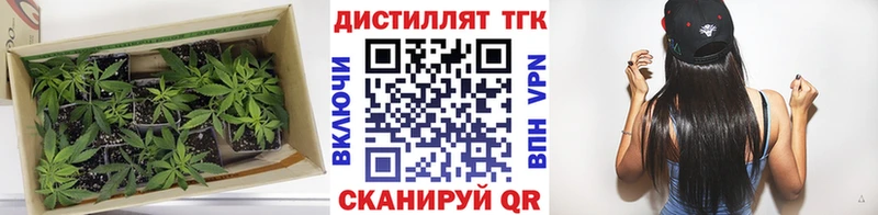ТГК вейп  Купить закладки  Медногорск 