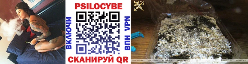 Купить где  Медногорск  Псилоцибиновые грибы MAGIC MUSHROOMS 